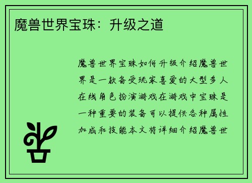 魔兽世界宝珠：升级之道